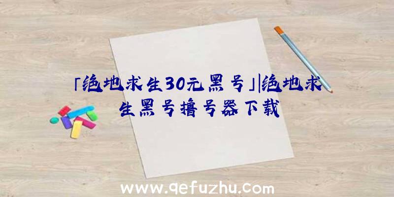 「绝地求生30元黑号」|绝地求生黑号撸号器下载